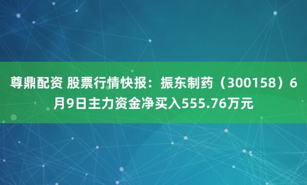 尊鼎配资 股票行情快报：振东制药（300158）6月9日主力资金净买入555.76万元