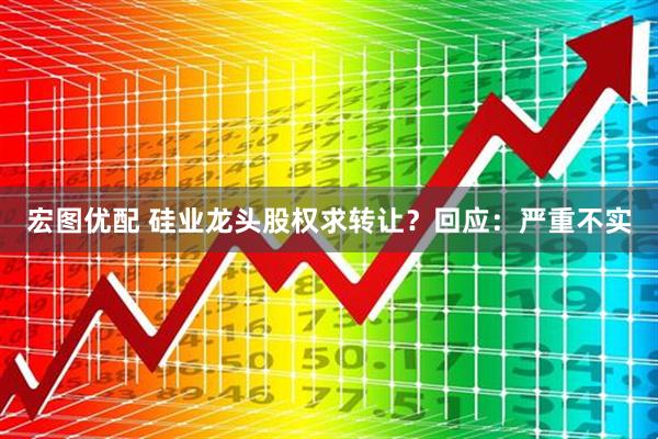 宏图优配 硅业龙头股权求转让？回应：严重不实