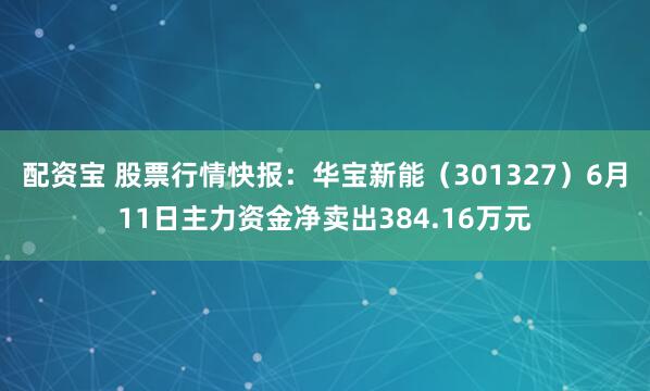 配资宝 股票行情快报：华宝新能（301327）6月11日主力资金净卖出384.16万元