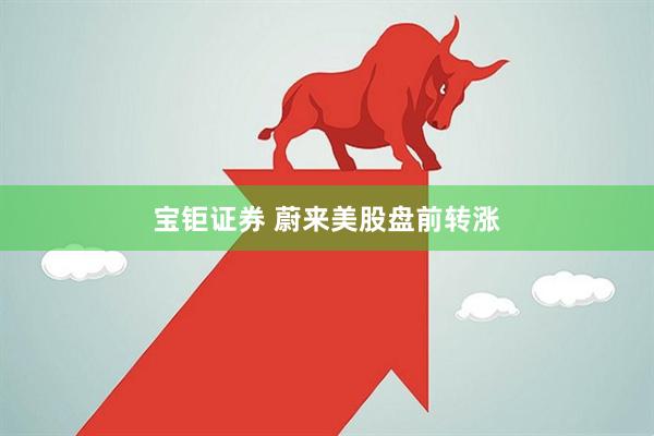 宝钜证券 蔚来美股盘前转涨