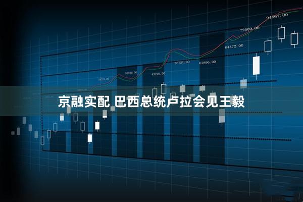 京融实配 巴西总统卢拉会见王毅